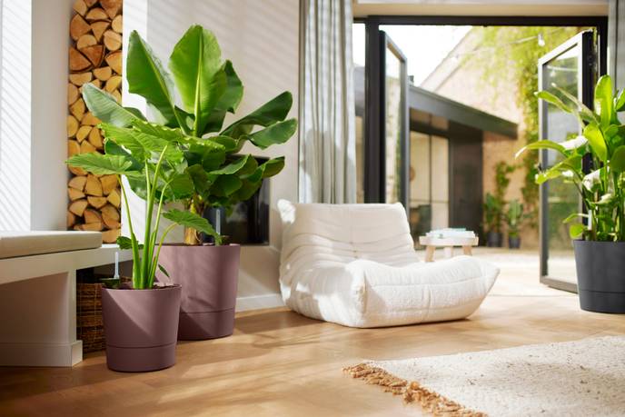 greensense aqua care round 35cm clay brown